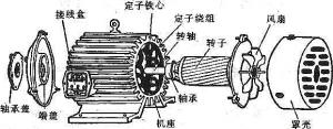 振動電機損壞的常見原因有哪些？